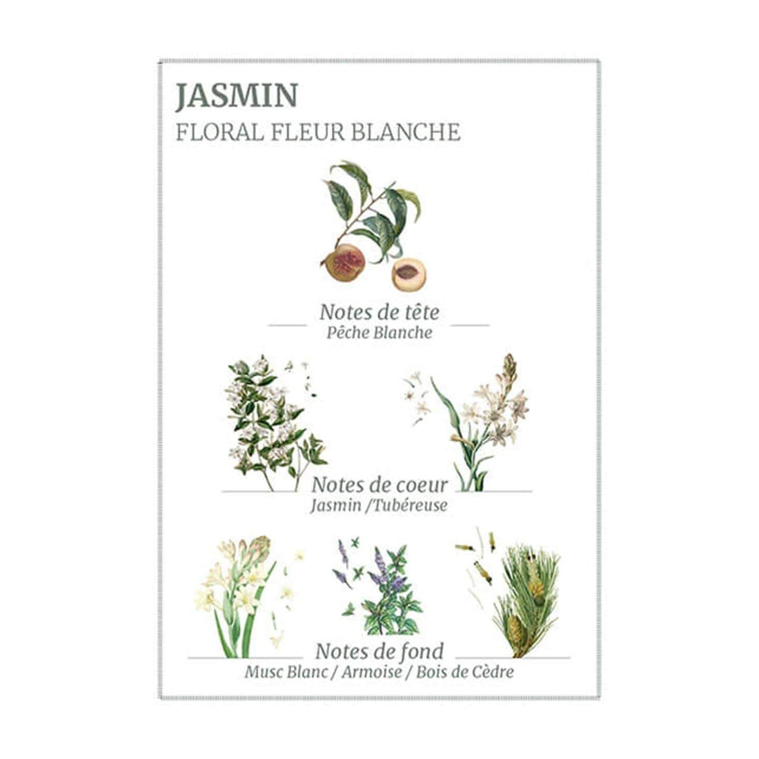 Panier des Sens Precious Jasmine Body Lotion