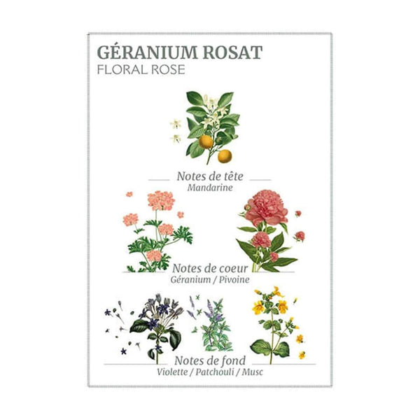 Panier des Sens Rose Geranium Hand Cream
